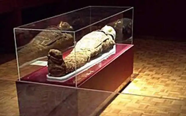 Mabee-Gerrer-Museum